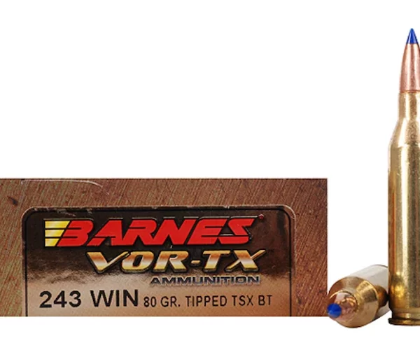 Barnes 243 Ammo In Stock